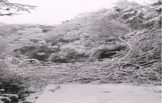 戰(zhàn)暴雪、保供電！湖南發(fā)展鳥兒巢公司應(yīng)對極端天氣緊急搶修失電故障